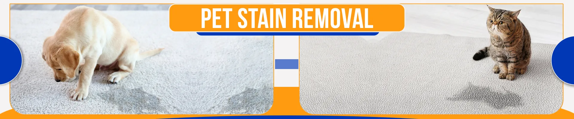 carpet cleaners in Nassau, carpet cleaning in Nassau, carpet cleaning nassau, carpet cleaners in nassau,  commercial carpet cleaning, commercial carpet cleaning in nassau,carpet cleaning in nassau,  nassau rug cleaners, rug cleaning services in nassau, same day carpet cleaning, same day rug cleaning