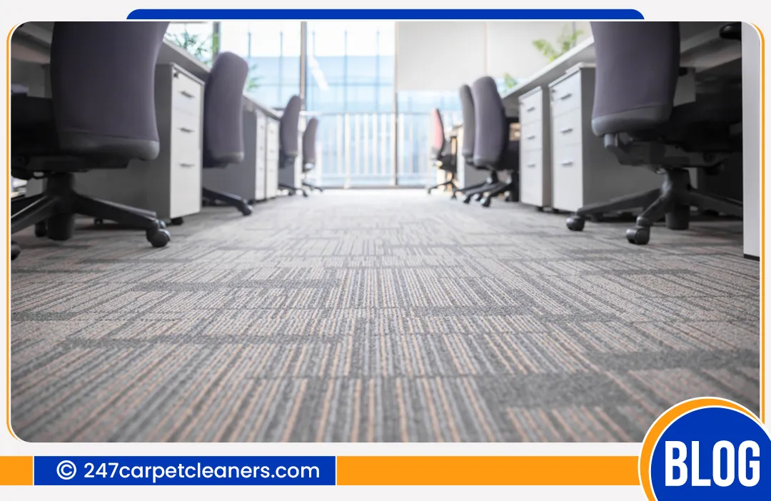 carpet cleaners in Nassau, carpet cleaning in Nassau, carpet cleaning nassau, carpet cleaners in nassau,  commercial carpet cleaning, commercial carpet cleaning in nassau,carpet cleaning in nassau,  nassau rug cleaners, rug cleaning services in nassau, same day carpet cleaning, same day rug cleaning