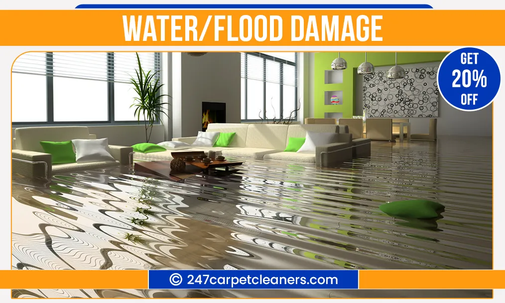 carpet cleaning in nassau, carpet cleaning nassau, carpet cleaners in nassau, carpet cleaners in nassau, commercial carpet cleaning, commercial carpet cleaning in nassau, nassau rug cleaners, rug cleaning services in nassau, same day carpet cleaning, same day rug cleaning in nassau