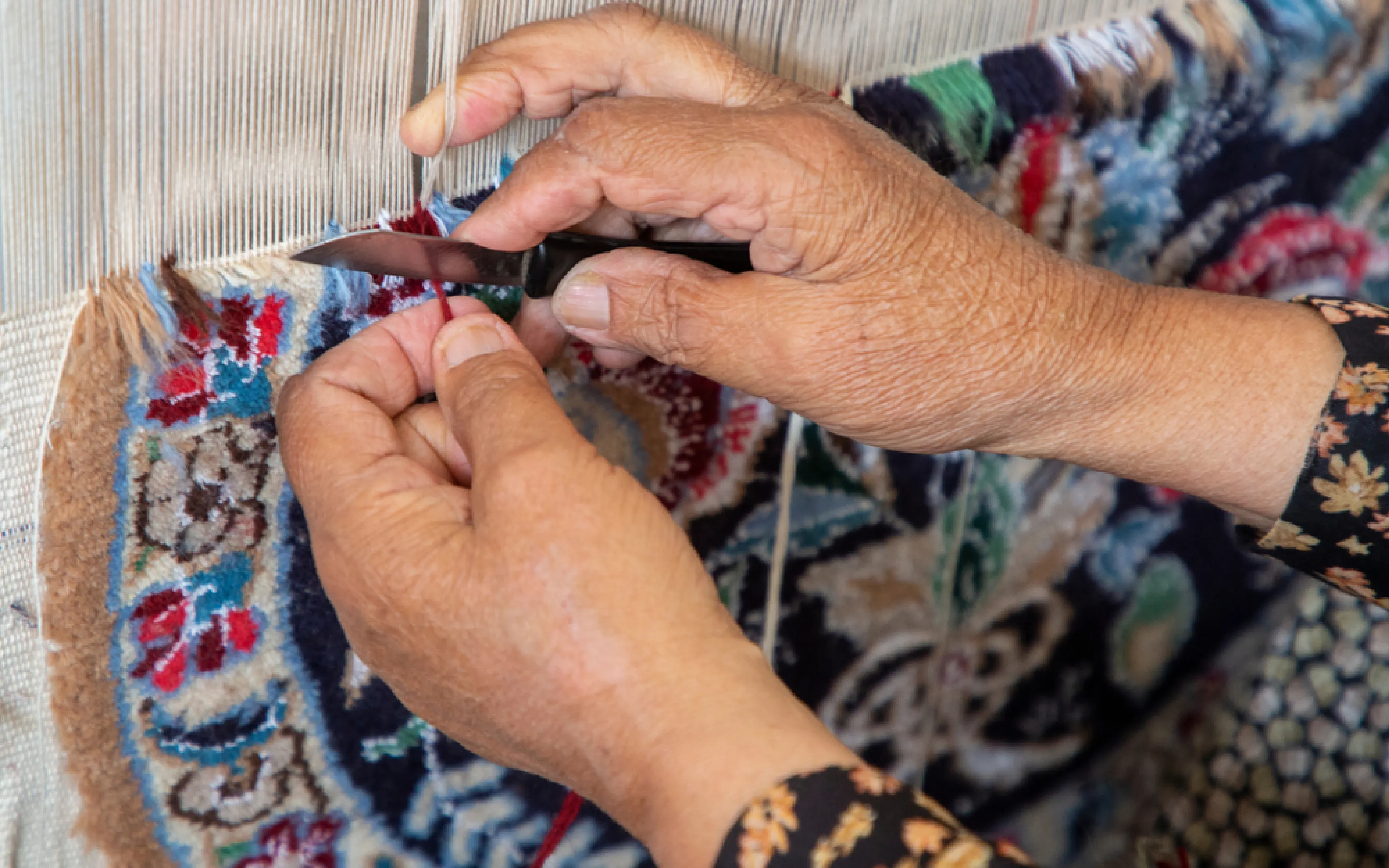 carpet cleaners in Nassau, carpet cleaning in Nassau, carpet cleaning nassau, carpet cleaners in nassau,  commercial carpet cleaning, commercial carpet cleaning in nassau,carpet cleaning in nassau,  nassau rug cleaners, rug cleaning services in nassau, same day carpet cleaning, same day rug cleaning