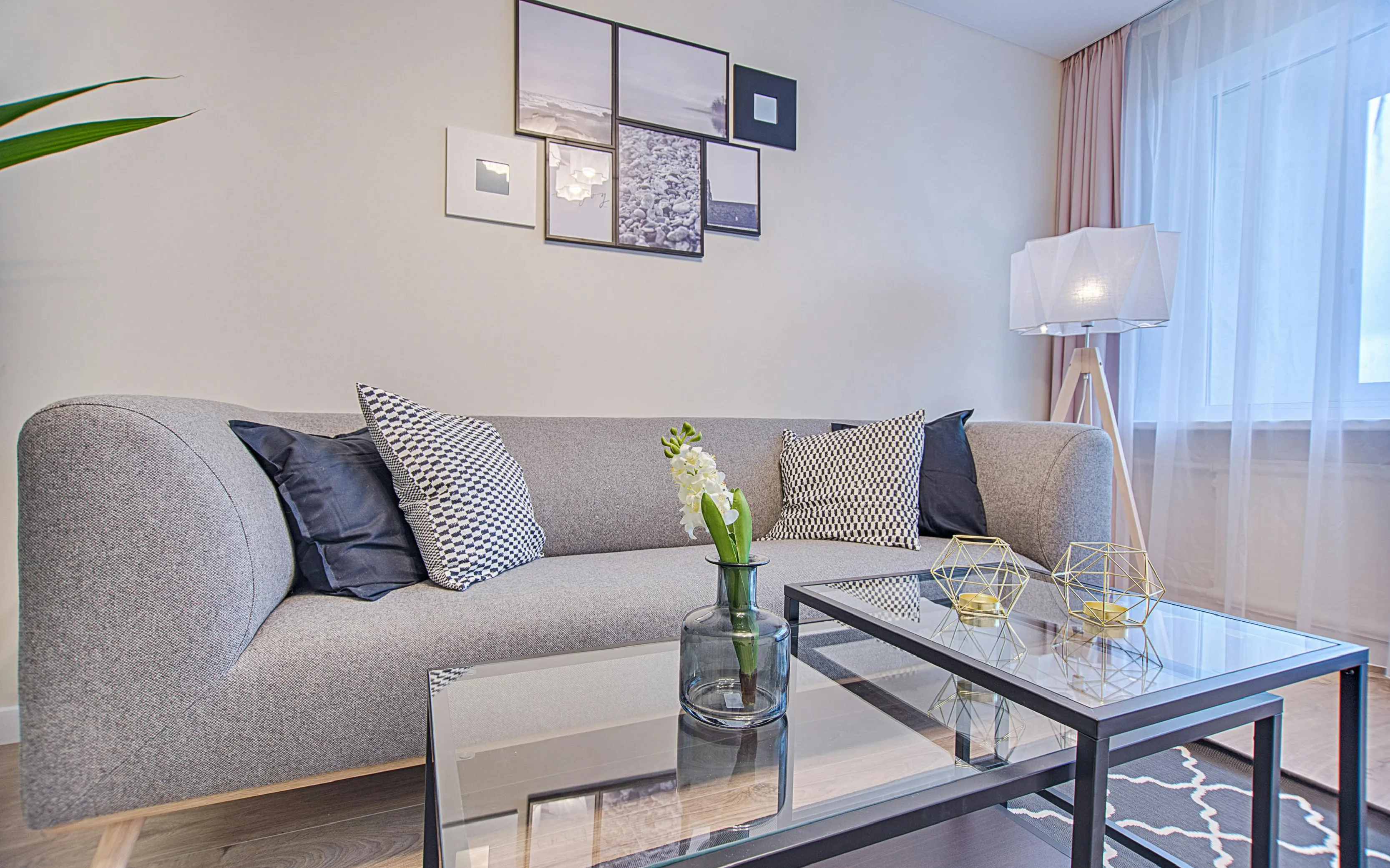 carpet cleaners in Nassau, carpet cleaning in Nassau, carpet cleaning nassau, carpet cleaners in nassau,  commercial carpet cleaning, commercial carpet cleaning in nassau,carpet cleaning in nassau,  nassau rug cleaners, rug cleaning services in nassau, same day carpet cleaning, same day rug cleaning