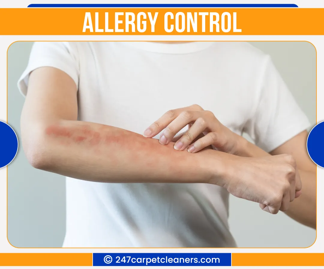 carpet cleaners in Nassau, carpet cleaning in Nassau, carpet cleaning nassau, carpet cleaners in nassau,  commercial carpet cleaning, commercial carpet cleaning in nassau,carpet cleaning in nassau,  nassau rug cleaners, rug cleaning services in nassau, same day carpet cleaning, same day rug cleaning