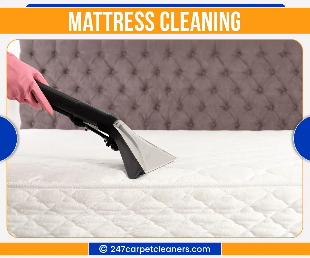 carpet cleaners in Nassau, carpet cleaning in Nassau, carpet cleaning nassau, carpet cleaners in nassau,  commercial carpet cleaning, commercial carpet cleaning in nassau,carpet cleaning in nassau,  nassau rug cleaners, rug cleaning services in nassau, same day carpet cleaning, same day rug cleaning