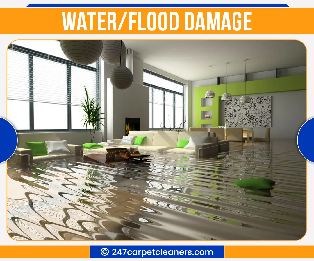 carpet cleaners in Nassau, carpet cleaning in Nassau, carpet cleaning nassau, carpet cleaners in nassau,  commercial carpet cleaning, commercial carpet cleaning in nassau,carpet cleaning in nassau,  nassau rug cleaners, rug cleaning services in nassau, same day carpet cleaning, same day rug cleaning